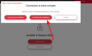 Connexion par ID